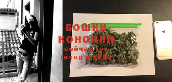 эйфоретик Богданович