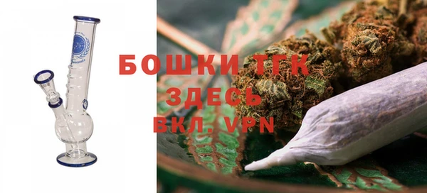эйфоретик Богданович
