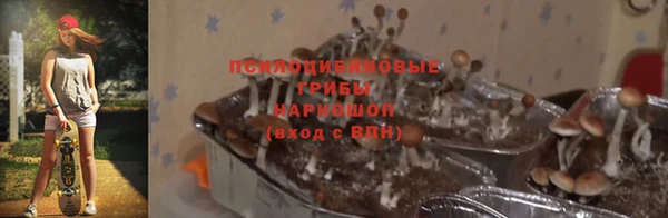 эйфоретик Богданович