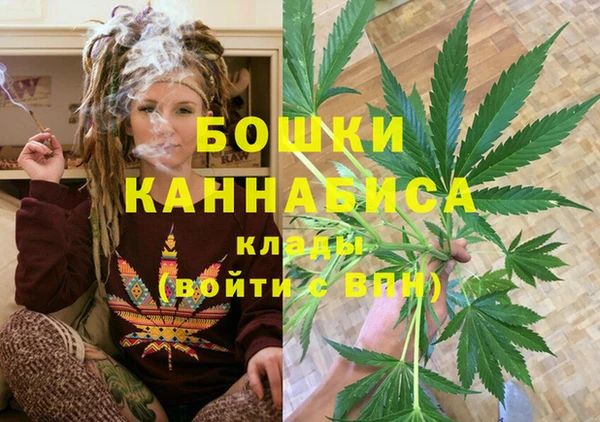 эйфоретик Богданович
