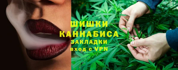 эйфоретик Богданович
