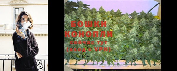 эйфоретик Богданович